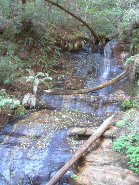 Berry Creek Waterval